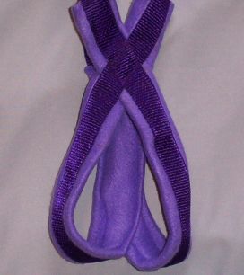 Purple w/ Purple Padding Harness